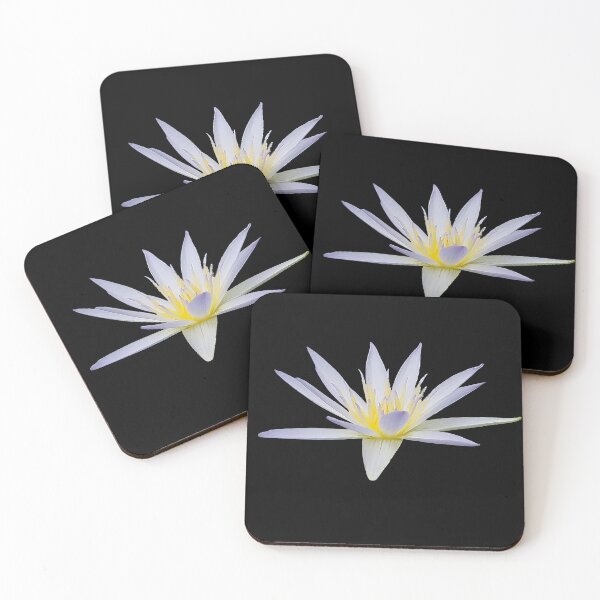 Item preview, Egyptian Lotus designed and sold by DesignMore21.