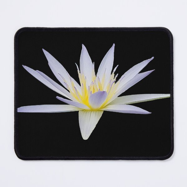 Item preview, Egyptian Lotus designed and sold by DesignMore21.