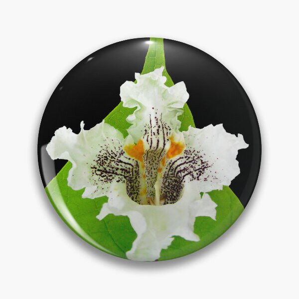 Item preview, Catalpa Bloom and Leaf Nature Photography designed and sold by ShoaffBallanger.