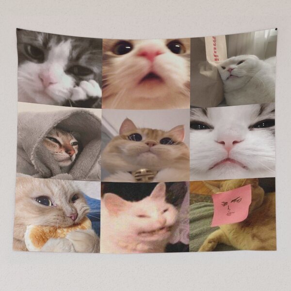 Item preview, Meme Cats 2.0 designed and sold by NAIKA1.