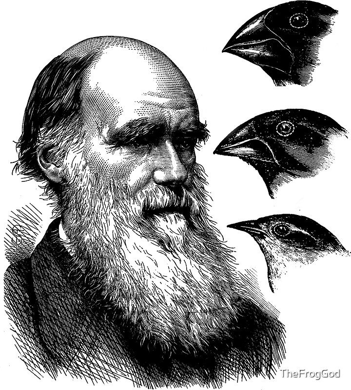 Charles Darwin: Stickers | Redbubble