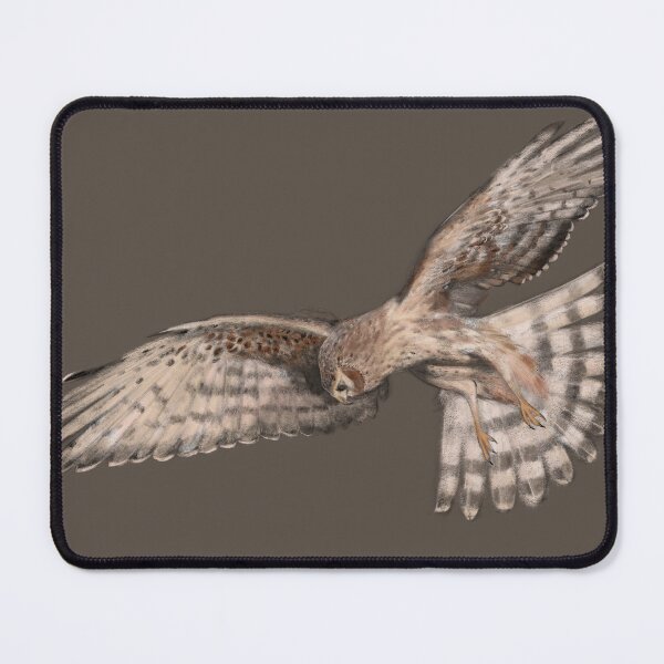 Item preview, Hen Harrier designed and sold by Simon De Meulenaer.