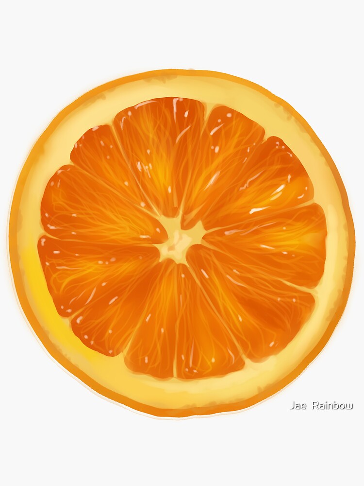 Doodle Freehand Sketch Drawing Of Orange Fruit Stock Illustration -  Download Image Now - Doodle, Orange - Fruit, Orange Color - iStock
