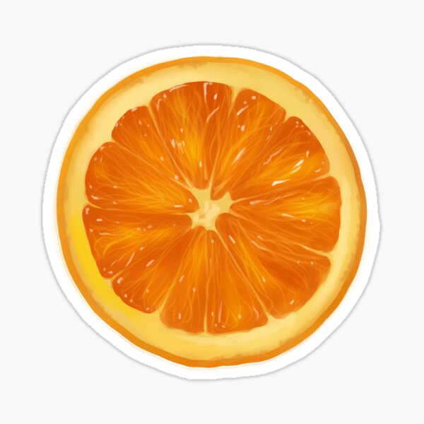 dessin de fruits orange