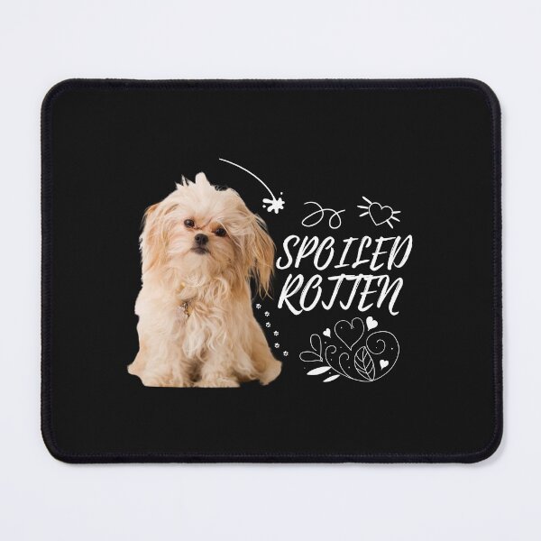 Item preview, Spoiled Rotten - Pekingese Dog Lover Fun Graphic - Fun Pekingese Gifts Classic T-Shirt designed and sold by PDesigns69.