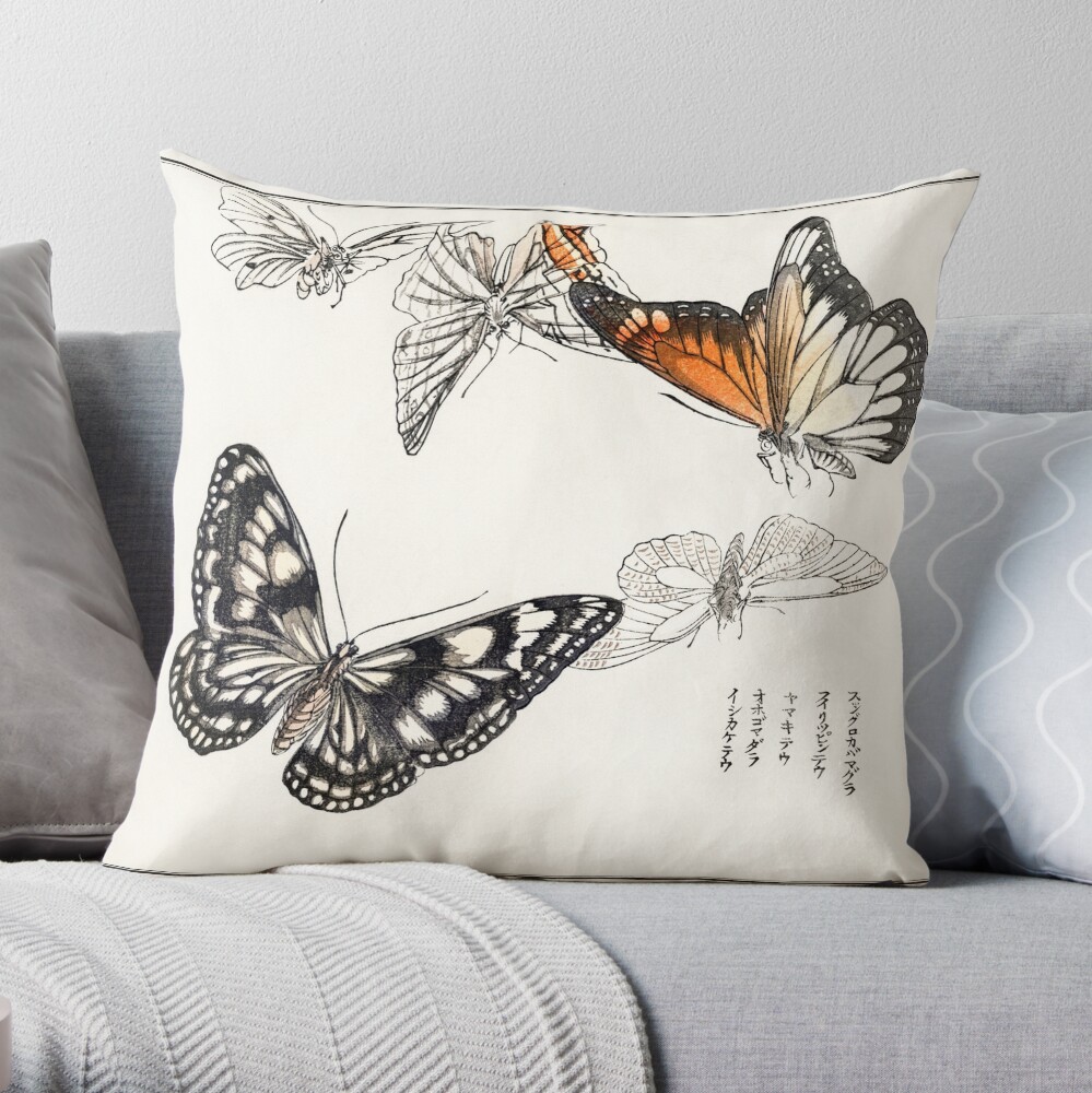 Pottery barn butterfly clearance pillow