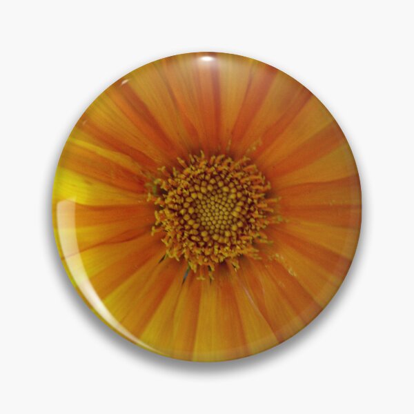 Item preview, Gazania Flowers Photography Golden Sunburst designed and sold by ShoaffBallanger.