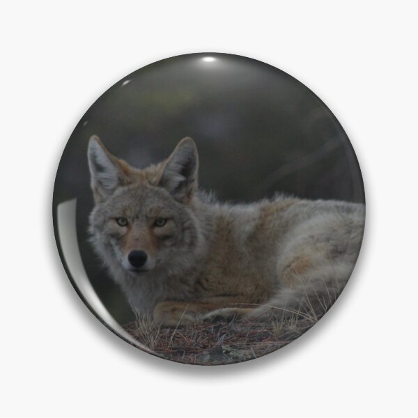 Item preview, Special Friend designed and sold by Egglette64.