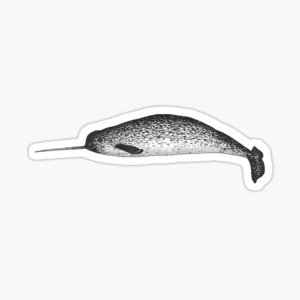 Artikel-Vorschau von Narwal, designt und verkauft von WhaleZo.