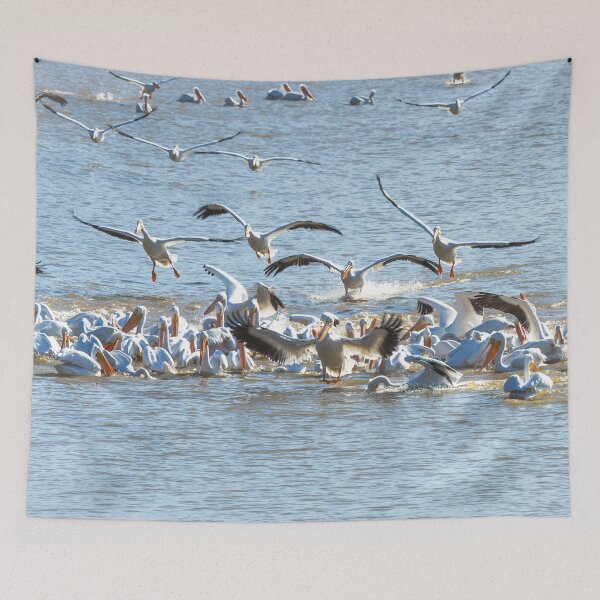 Item preview, Pelican Feeding Frenzy At the Lake by Debra Martz designed and sold by Debra Martz.