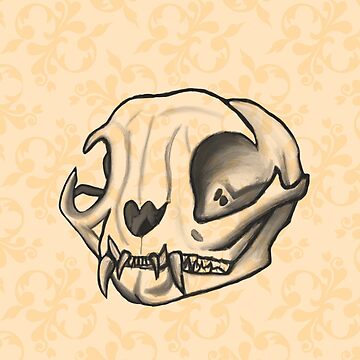 sketch Cat Skull #ilustracion #craneo #huesos #creepy | Skull drawing,  Animal skull drawing, Animal sketches