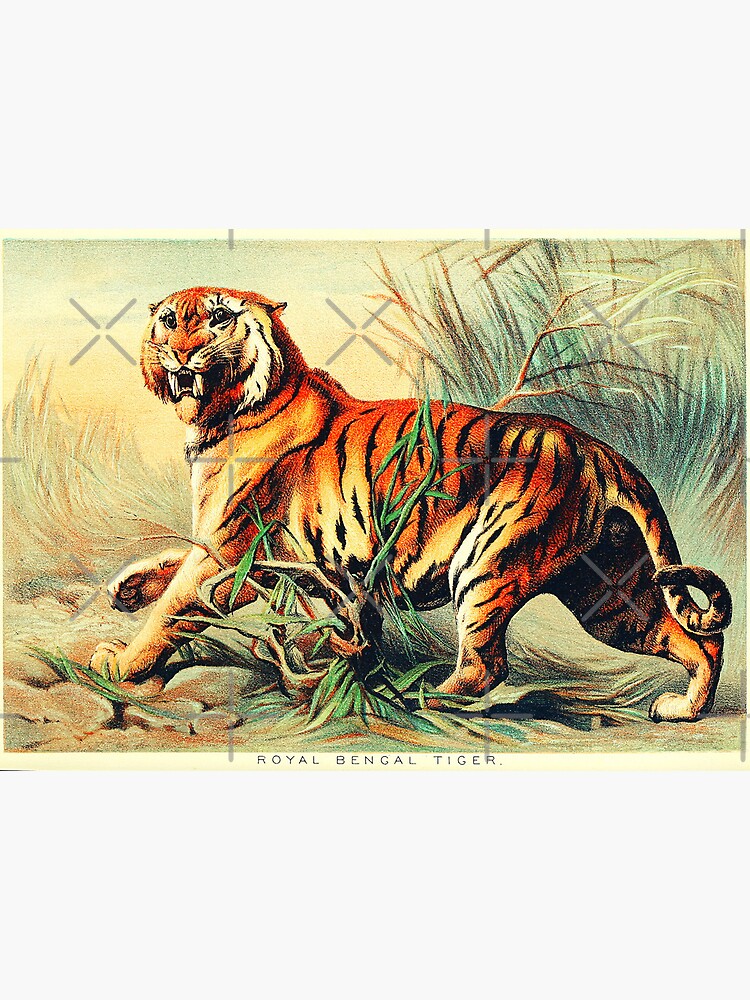 Indian Miniature Painting Royal Bengal Tiger Handmade Wild Animal Nature Art