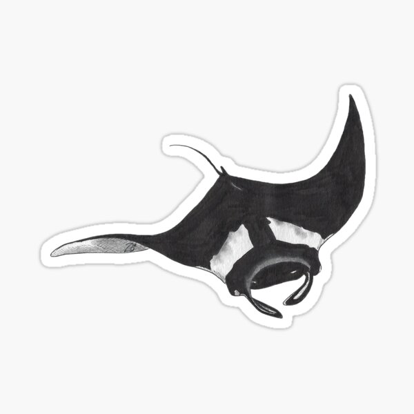 Artikel-Vorschau von Ozeanischer Mantarochen, designt und verkauft von WhaleZo.