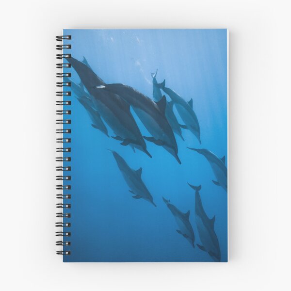 Item preview, Dolphin Sea Photo designed and sold by ClassInk.
