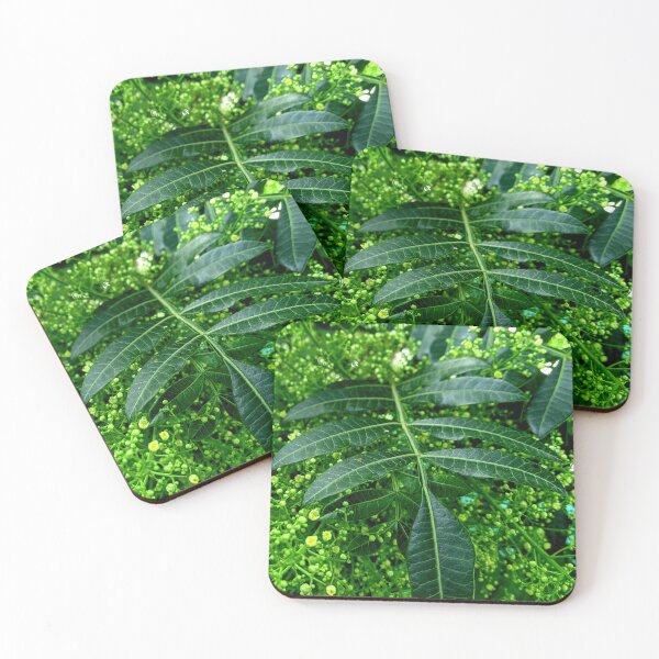 Item preview, Nature About to Shine designed and sold by Ana Torres.