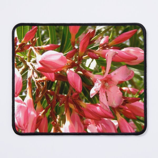 Item preview, Pink Oleanders designed and sold by Shulie1.