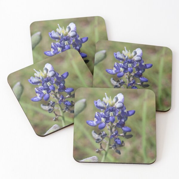 Item preview, Bluebonnets designed and sold by AmyWilson602.