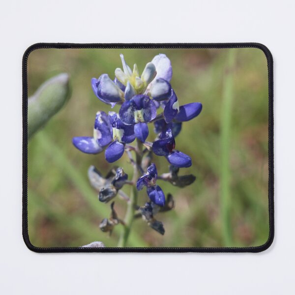 Item preview, Bluebonnets designed and sold by AmyWilson602.