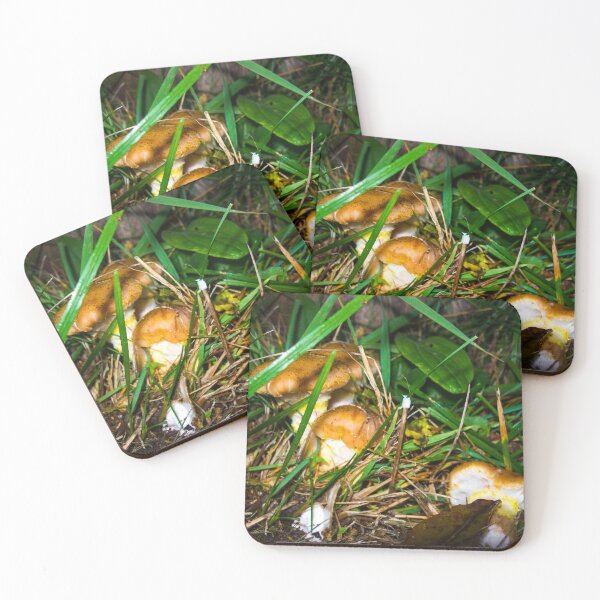 Item preview, Mushrooms in the forest designed and sold by svvp.
