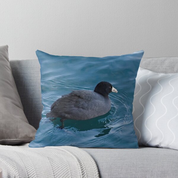 Item preview, American Coot at Harbourfront designed and sold by Gerda Grice Photography.