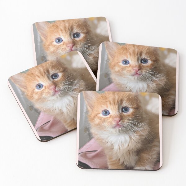 Item preview, Ragdoll Mainecoon ginger kitty designed and sold by Fluffycat2020.
