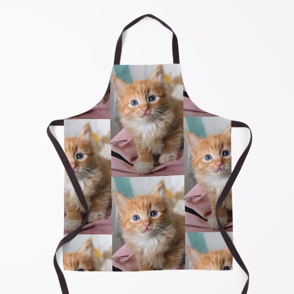 Item preview, Ragdoll Mainecoon ginger kitty designed and sold by Fluffycat2020.