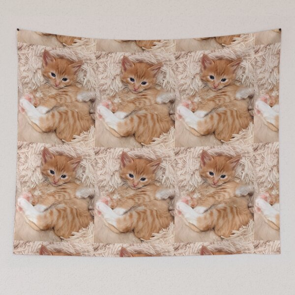 Item preview, Ragdoll Mainecoon ginger kitty designed and sold by Fluffycat2020.