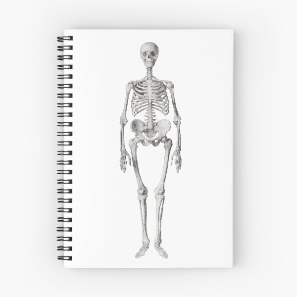 Item preview, Skeleton designed and sold by samvschantz.