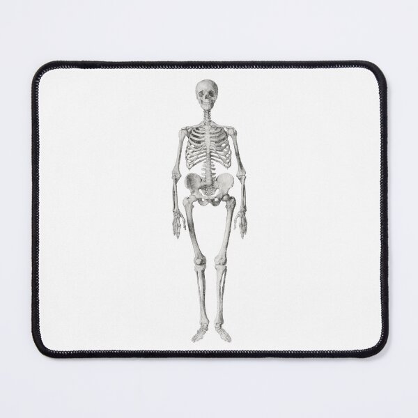 Item preview, Skeleton designed and sold by samvschantz.