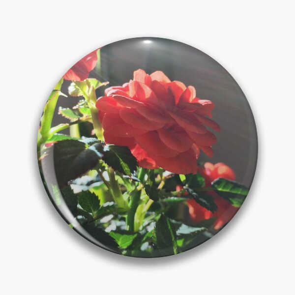 Item preview, Roses  designed and sold by Bre-Bug-242.