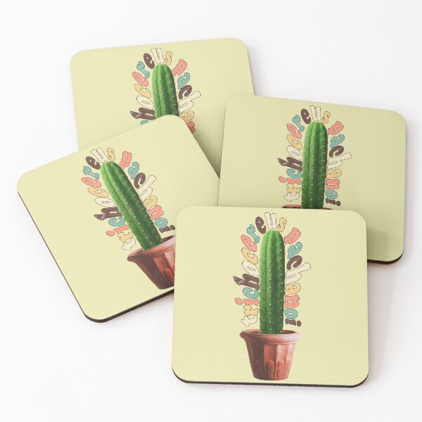 Item preview, Trichocereus Pachanoi - San Pedro cactus designed and sold by Fruitsome.