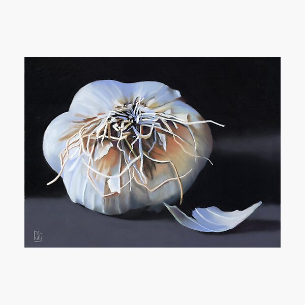 Garlic Bulb fine art painting Photographic Print