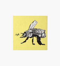 the plight of the honeybees Art Board