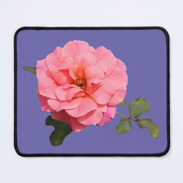 Item preview, Pink Rose with Leaves on Purple designed and sold by STHogan2.