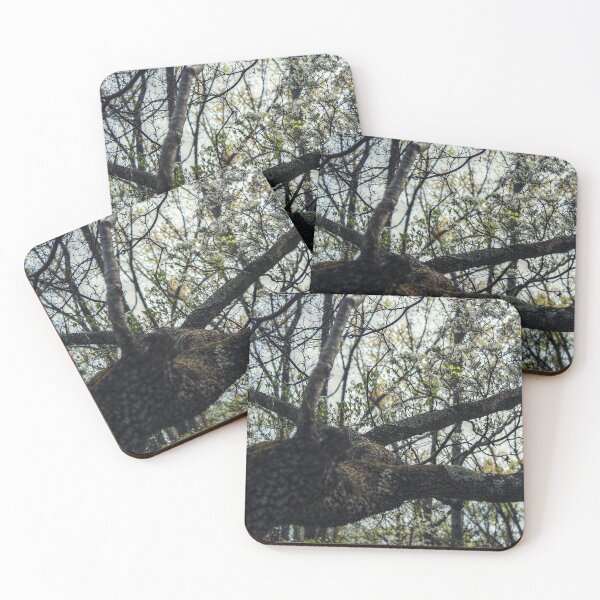 Item preview, Dark Branches designed and sold by SarahEL17.