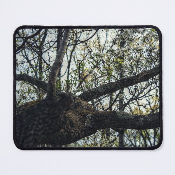 Item preview, Dark Branches designed and sold by SarahEL17.