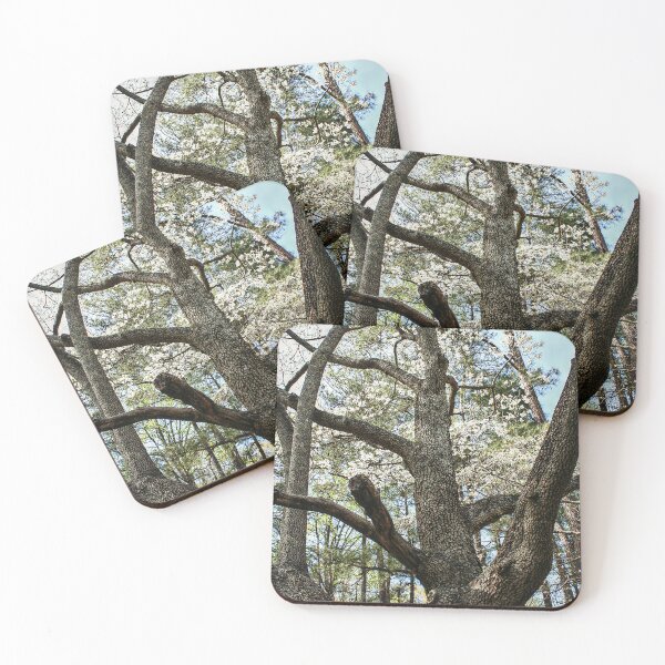Item preview, Up the Tree designed and sold by SarahEL17.