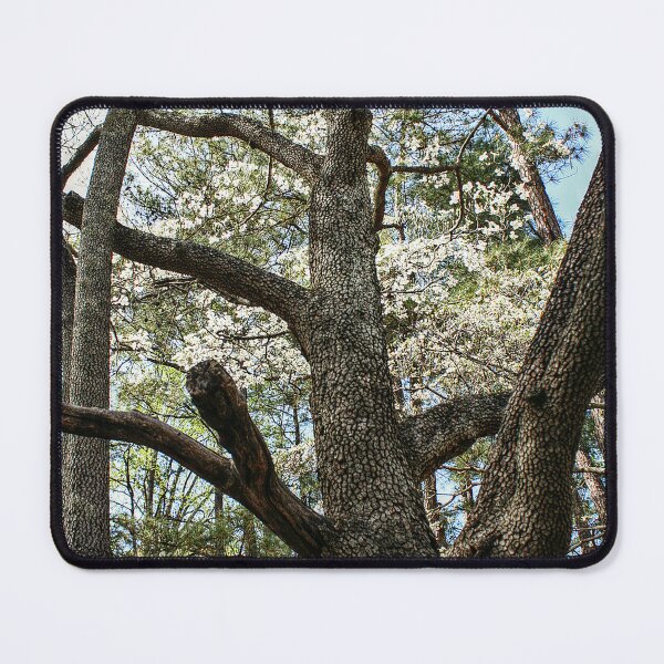 Item preview, Up the Tree designed and sold by SarahEL17.