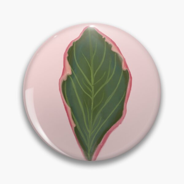 Item preview, peperomia designed and sold by Moxieann.