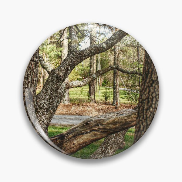 Item preview, Tree Border designed and sold by SarahEL17.