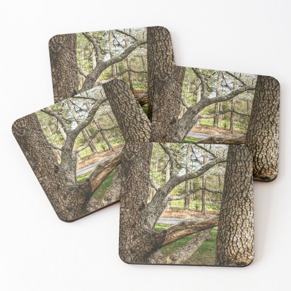Item preview, Tree Border designed and sold by SarahEL17.