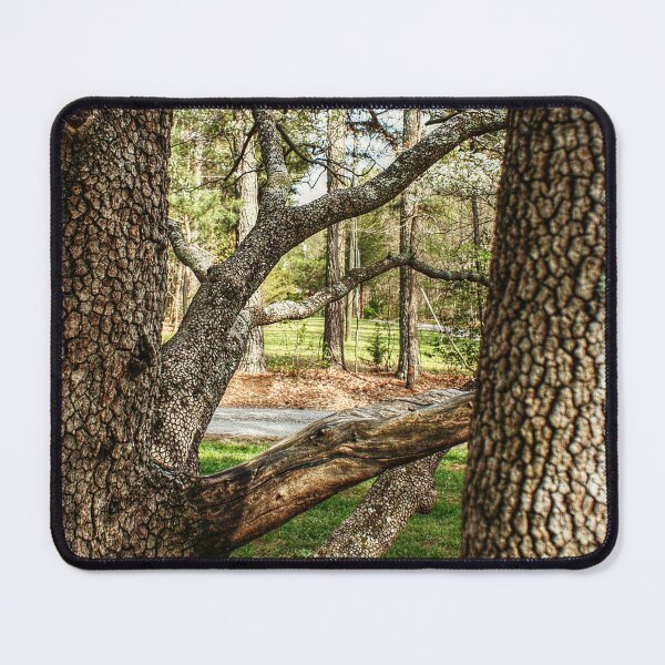 Item preview, Tree Border designed and sold by SarahEL17.