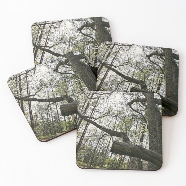 Item preview, Enjoying the Sunshine designed and sold by SarahEL17.