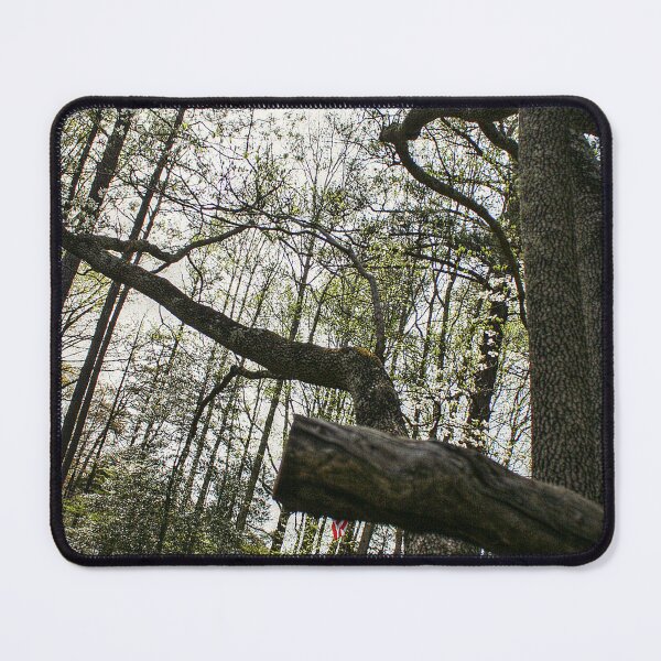Item preview, Enjoying the Sunshine designed and sold by SarahEL17.