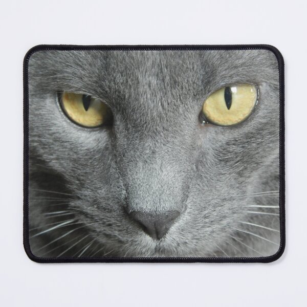 Item preview, Russian Blue Cat designed and sold by PetPeevee.