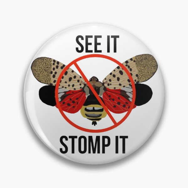 Item preview, Spotted Lanternfly See It Stomp It designed and sold by radiantdark.