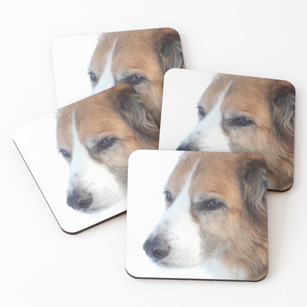 Item preview, Rescue St. Bernard Mix designed and sold by PetPeevee.