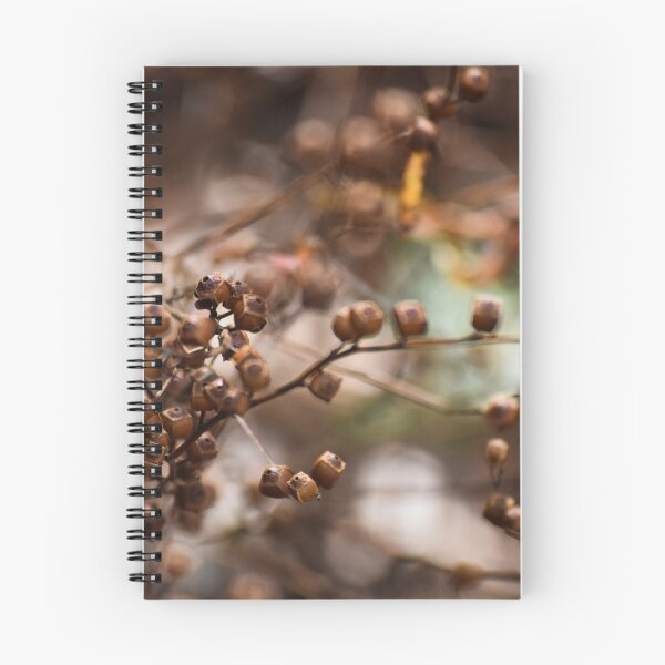Item preview, Nature's Boxes designed and sold by Tracy Engle.