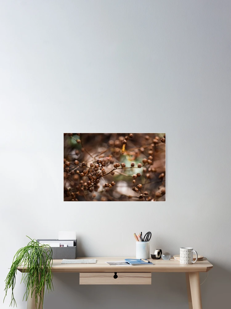 Thumbnail 2 of 3, Poster, Nature's Boxes designed and sold by Tracy Engle.