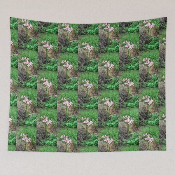 Item preview, Heirloom Pink Lilies (Amaryllis), Tall Cluster (on Forest Green) designed and sold by GladBlackLamb.